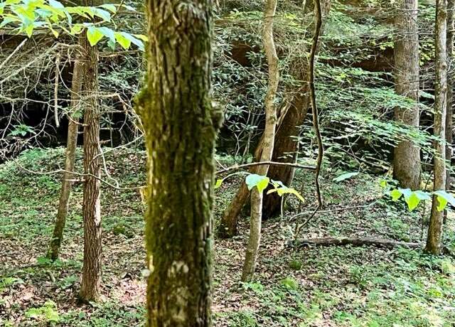 Property at 0 Coperas Cave Br, Beattyville, KY 41311