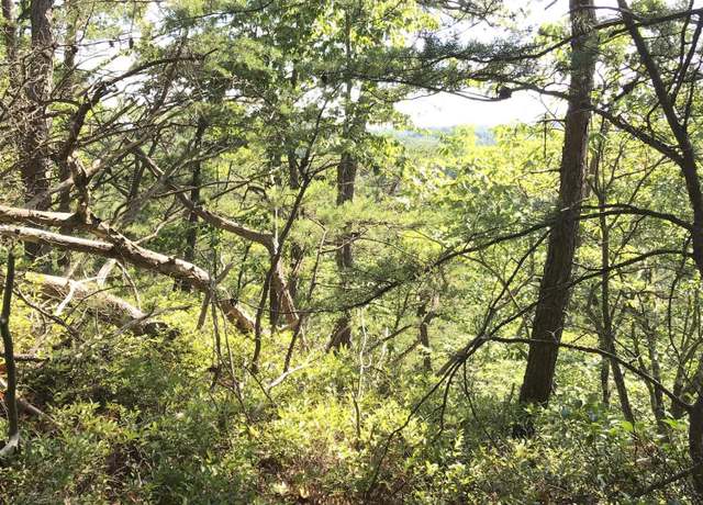 Property at 0 S South Fork Rd, Stanton, KY 40380