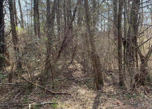 Property at 1057 Palisades Ct, Burnside, KY 41519