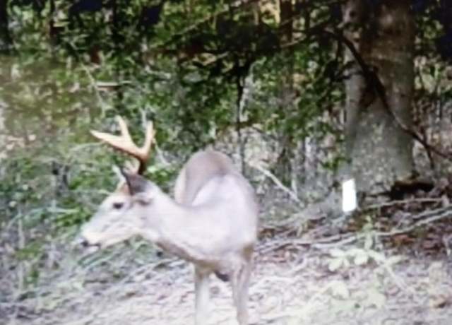 Property at 838 Menifee Hill Rd, Brodhead, KY 40409