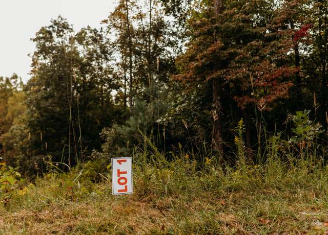 Property at TBD Lot 1 Sandy Ridge Rd, Campton, KY 41301
