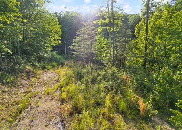 Property at 165 Chaneyville Rd, Stanton, KY 40380