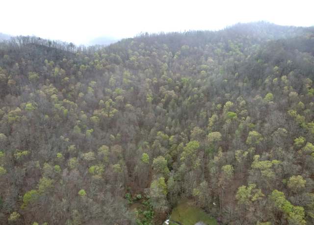 Property at 0 Pound Mill Br, Wooton, KY 41776