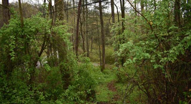 Photo of 000 Buffalo Branch Rd, Pineville, KY 40977