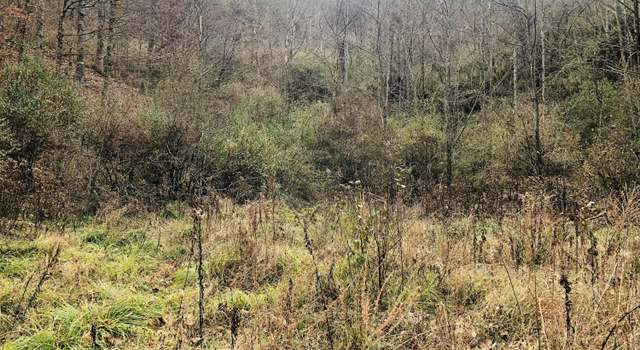 Photo of 0 Carrion Br, Whitesburg, KY 41858