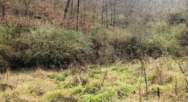 Photo of 0 Carrion Br, Whitesburg, KY 41858