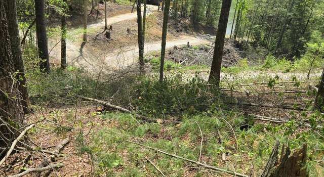 Photo of 000 Wolfe Lake rd Rd, KY 41301