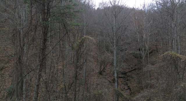 Photo of 9999 Little Wildcat Creek Rd, Manchester, KY 40962
