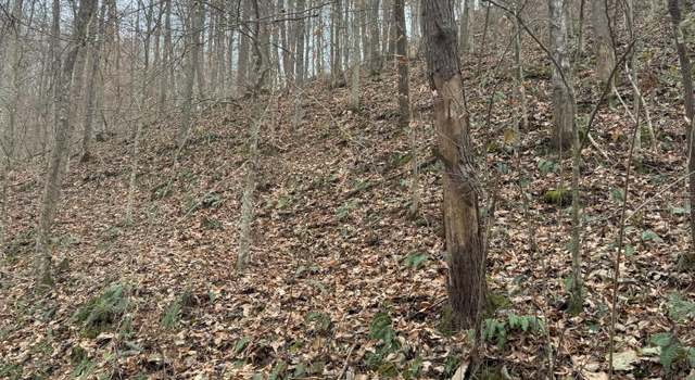 Photo of 9999 Little Wildcat Creek Rd, Manchester, KY 40962