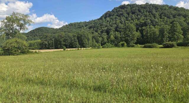 Photo of 000 Tar Fork Rd, Vanceburg, KY 41179