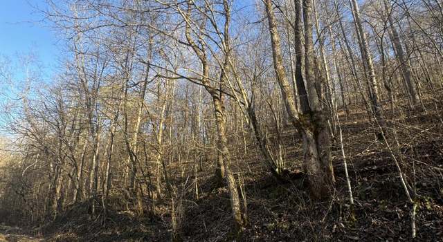 Photo of 9999 Crawfish Rd, KY 40962