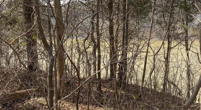 Photo of Lot 3 North Fork Rd, Burnside, KY 42519