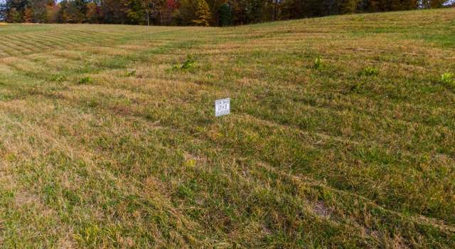 Photo of Lot 31 Spring Branch Hollow Rd, Nancy, KY 42544