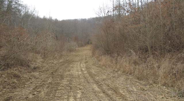 Photo of 0000 Catron Branch Rd, Bryants Store, KY 40921