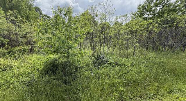 Photo of 9999 Springs Branch Dr, London, KY 40744