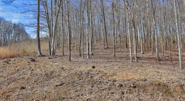 Photo of 1230 Haynes Knob Rd, Somerset, KY 42501