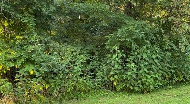 Photo of LT 908 Stonegate Dr, Burnside, KY 42519