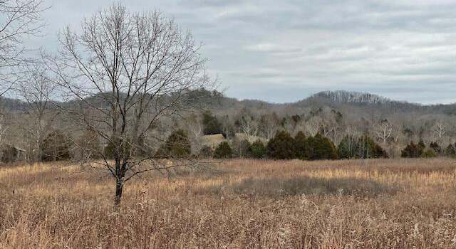 Photo of 328 Dug Hill Rd, Elk Horn, KY 42733