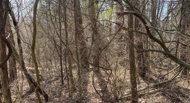 Photo of 1057 Palisades Ct, Burnside, KY 41519