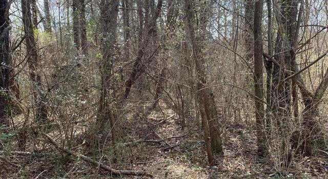 Photo of 1057 Palisades Ct, Burnside, KY 41519