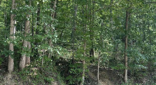 Photo of 0 Collins Fork Rd, Manchester, KY 40962