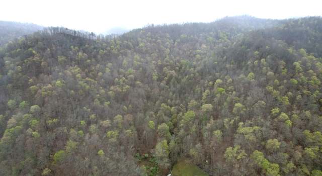 Photo of 0 Pound Mill Br, Wooton, KY 41776