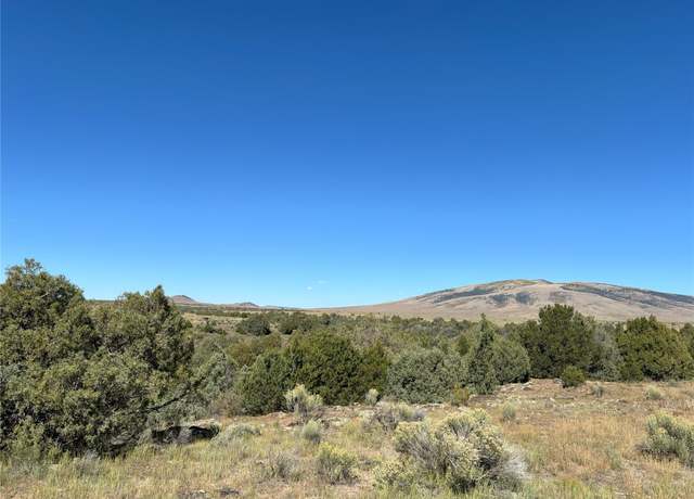 Property at TBD Highway 285 (s:04 T:29n R09e), Tres Piedras, NM 87577