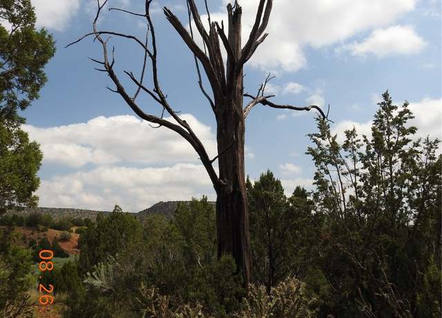 Property at 0 Cr B27, NM 87569