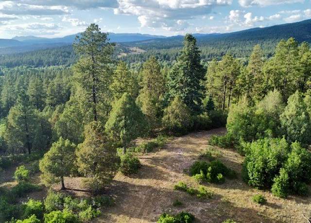 Property at Owls 1 Blue Spruce, Chama, NM 87520
