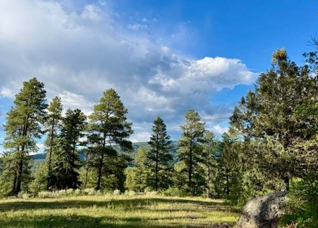 Property at Owls 2A Blue Spruce Trl, Chama, NM 87520