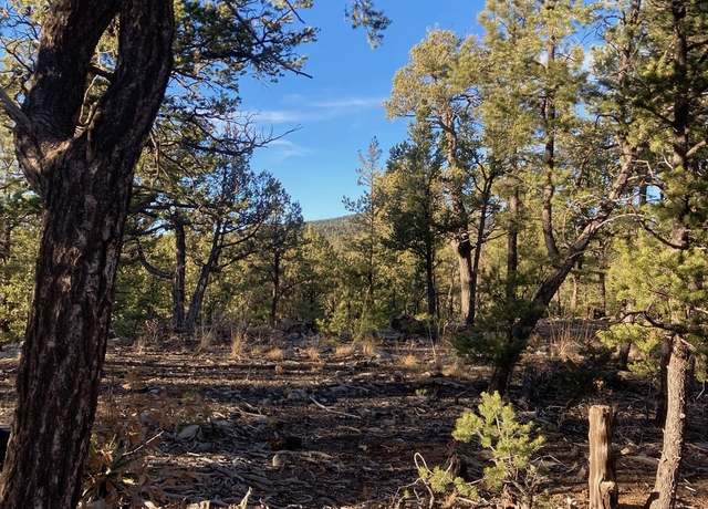 Property at Undisclosed address, Pecos, NM 87552