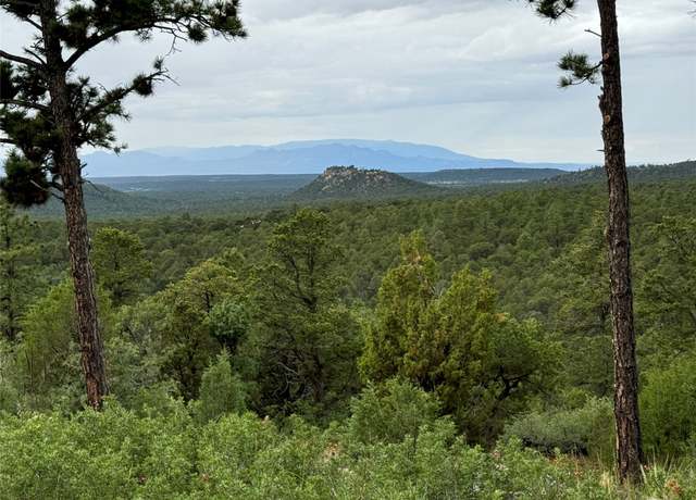 Property at 64 (Lot 6A) The Clfs, Glorieta, NM 87535