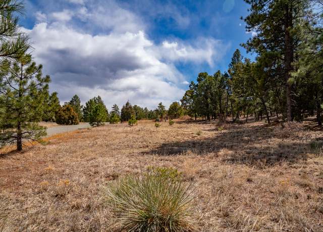Property at 5 Colibri Ct, Pecos, NM 87552