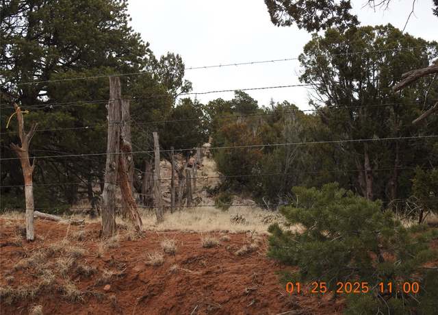 Property at Tract A-1 Cr B29a, Villanueva, NM 87583