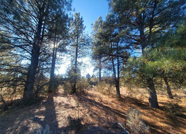 Property at 0 Hwy 64, Tierra Amarilla, NM 87575