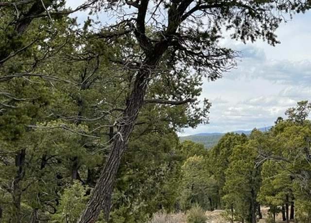 Property at 16 Wild Wings Cir, Pecos, NM 87552