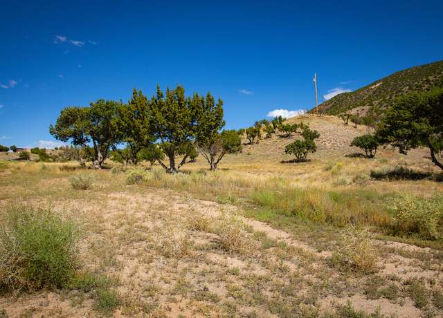 Property at 33750 Hwy 285, Hernandez, NM 87537
