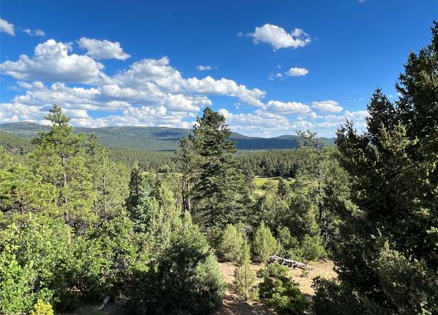 Property at 0 Badger Park 4 Ticonderoga, Chama, NM 87520