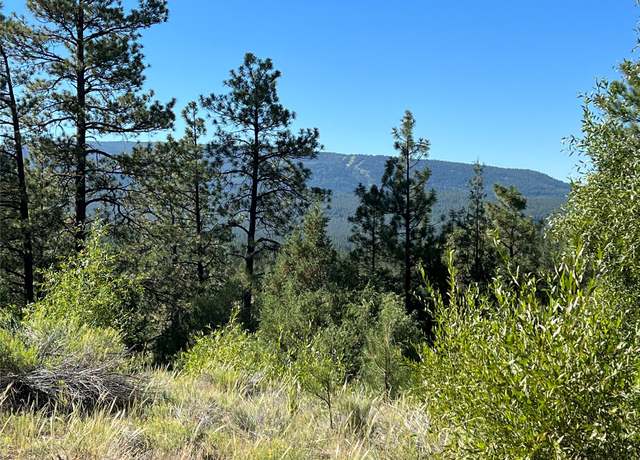 Property at 0 Badger Park 5 Ticonderoga, Chama, NM 87520