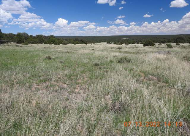 Property at 9 Tierra Del Dios, Rowe, NM 87562