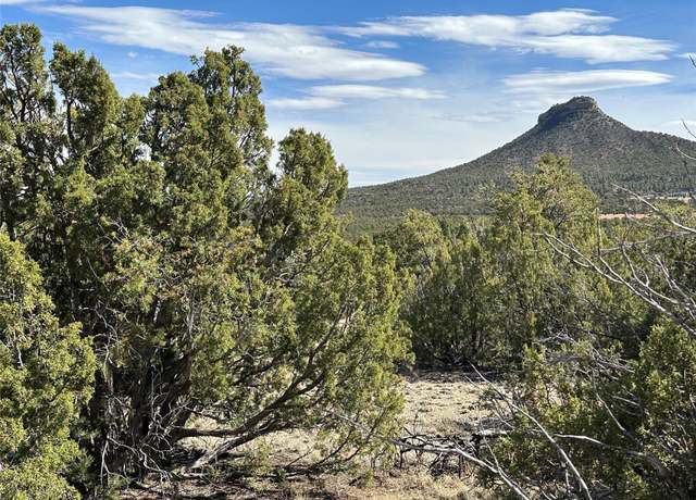 Property at 5.045 Acres Fronxtage Rd 2116, NM 87569