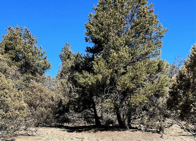 Property at 0 Willow Crk, Los Ojos, NM 87551