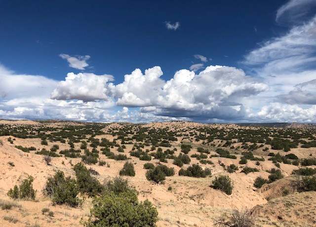 Property at Lot 47 Private Drive 1614a, Medanales, NM 87548