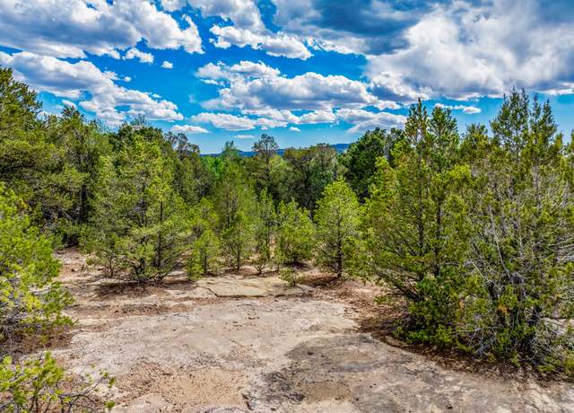 Property at 2.38 Acres Old Colonias, Pecos, NM 87552