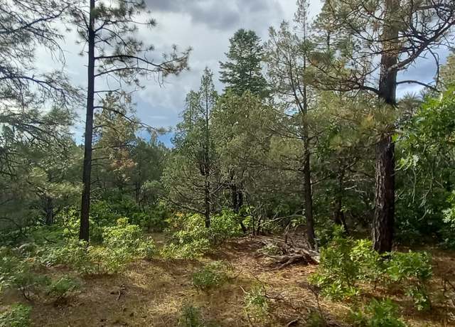Property at 0 1781, Chama, NM 87520