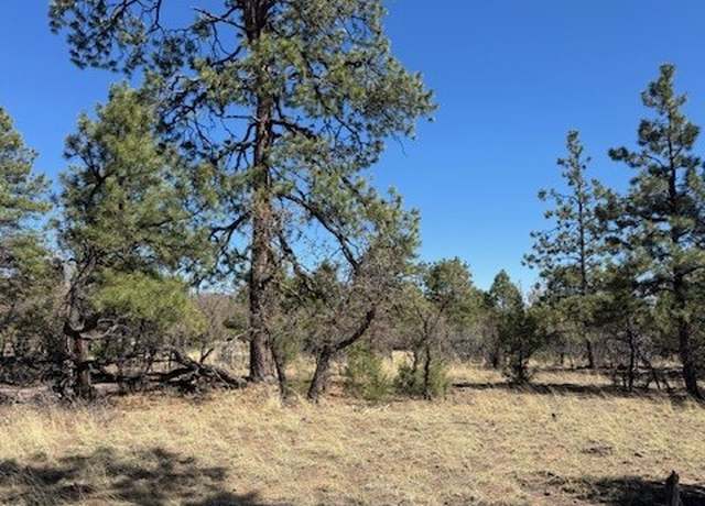 Property at TBD Doe Run, Los Ojos, NM 87520