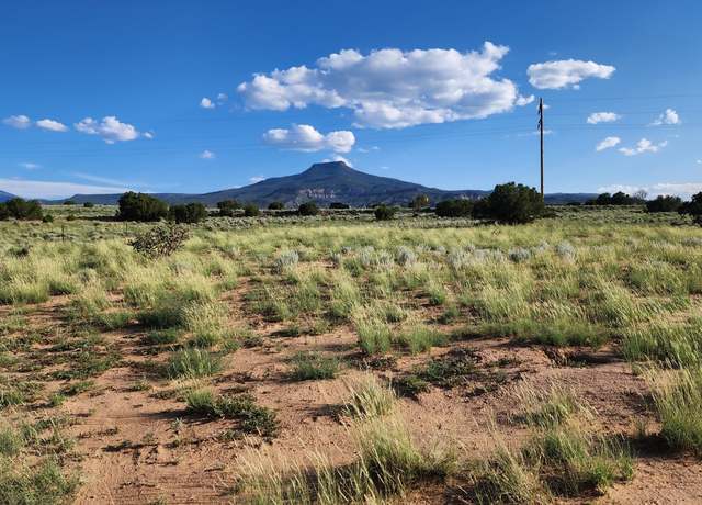 Property at Lot 24 Private Dr 1725, Abiquiu, NM 87064