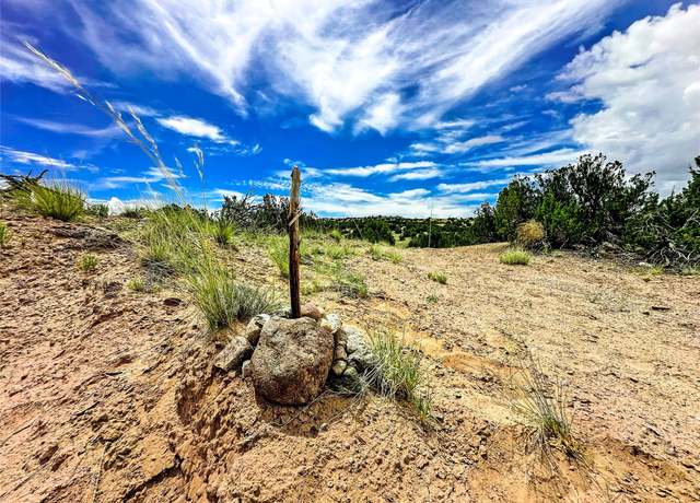 Property at TBD Fort Defina Road, Lot 165 4.93 Acres, Medanales, NM 87548