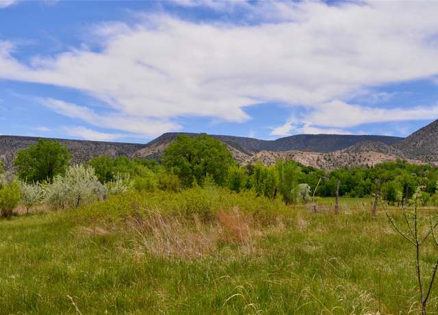 Property at Lots 1 & 2 Off Of Cr-162, Abiquiu, NM 87510