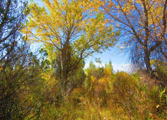 Property at 9 Camino Marina, La Puebla, NM 87532